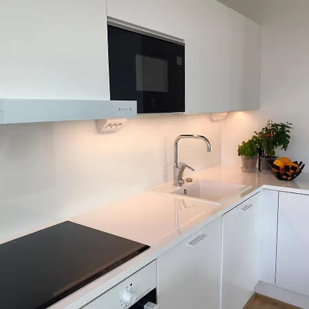 Apartment Goldfinger Saunallinen Kaksio Merinaekoealalla 11 Krs Helsinki